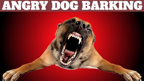 by alexander · March 21, 2016. Description: Angry dog bark and growl sound effects high quality. Dog barking sounds free mp3 download. Animal sounds. Best online sfx library. Genres: Sound Effects. Artist : Alexander.